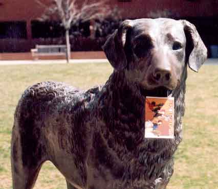 The UMBC Mascot